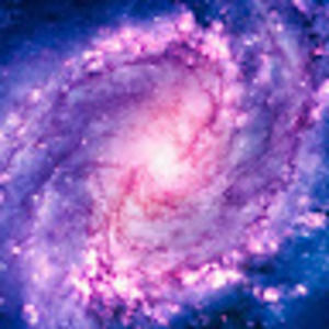 Meet your Posher, Janis